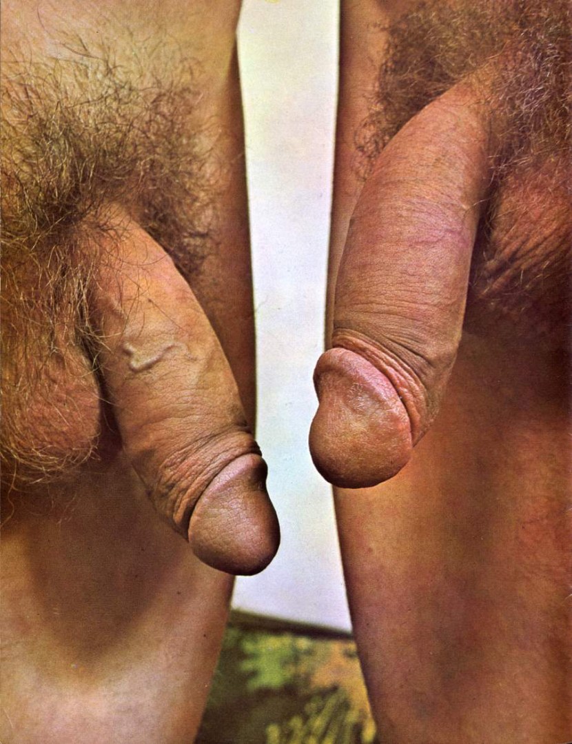 Men S Flaccid Cock Porn Photos Porn Ddeva