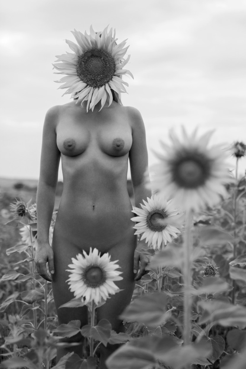 Naked Girl In Sunflowers Photos Porn Ddeva