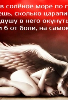 ANGEL ABOUT ME (95 photos)