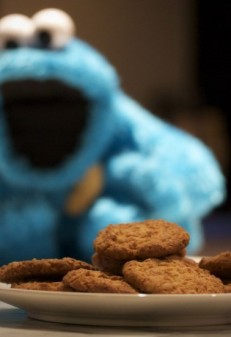 Cookie Monster (92 photos)