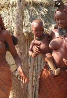 African Tits (99 photos)