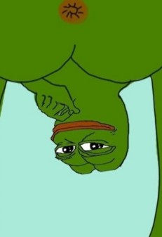 Pepe The Frog (91 photos)