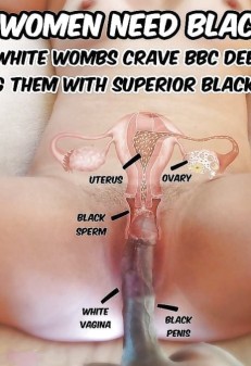 How the Dick Goes in the Pussy (75 photos)