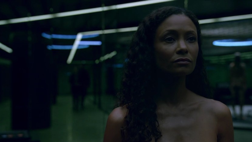 Tandiv Newton World Western West