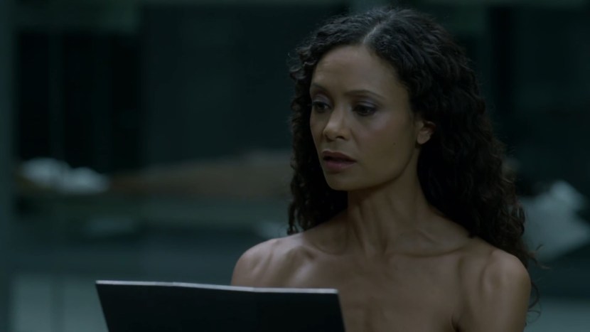 Tandy Newton Hot World of the Wild West