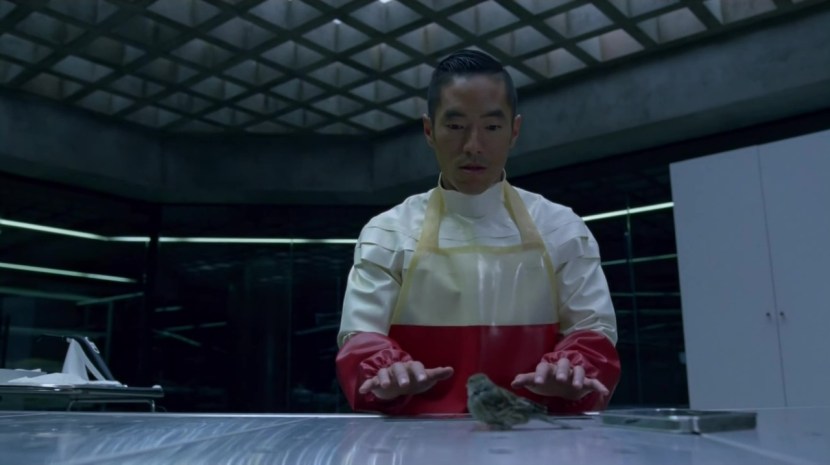 The world of the Wild West Penis