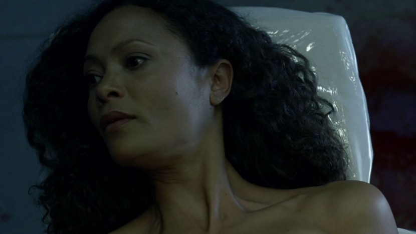 Tandy Newton Westworld