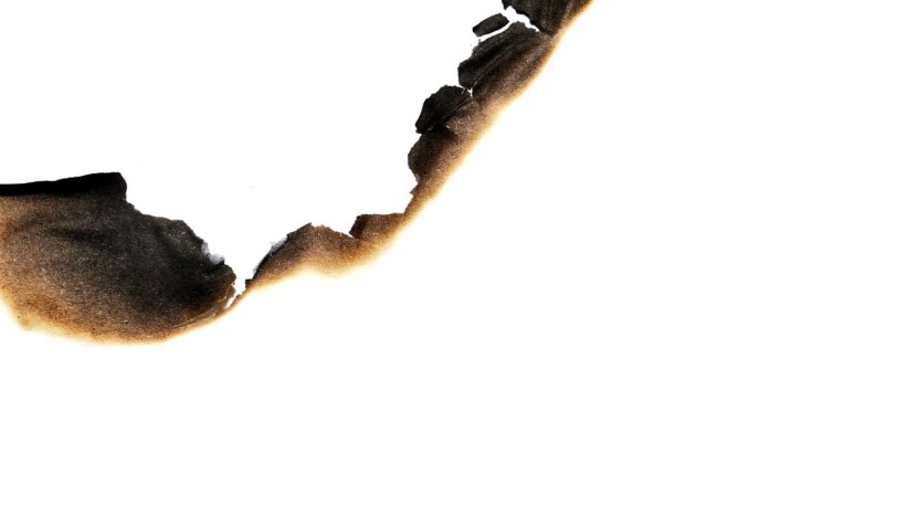 WelCome to Free Will Game