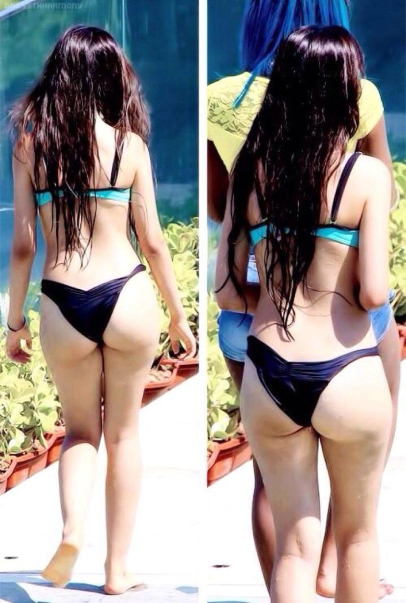 Camilla Cabello Fat