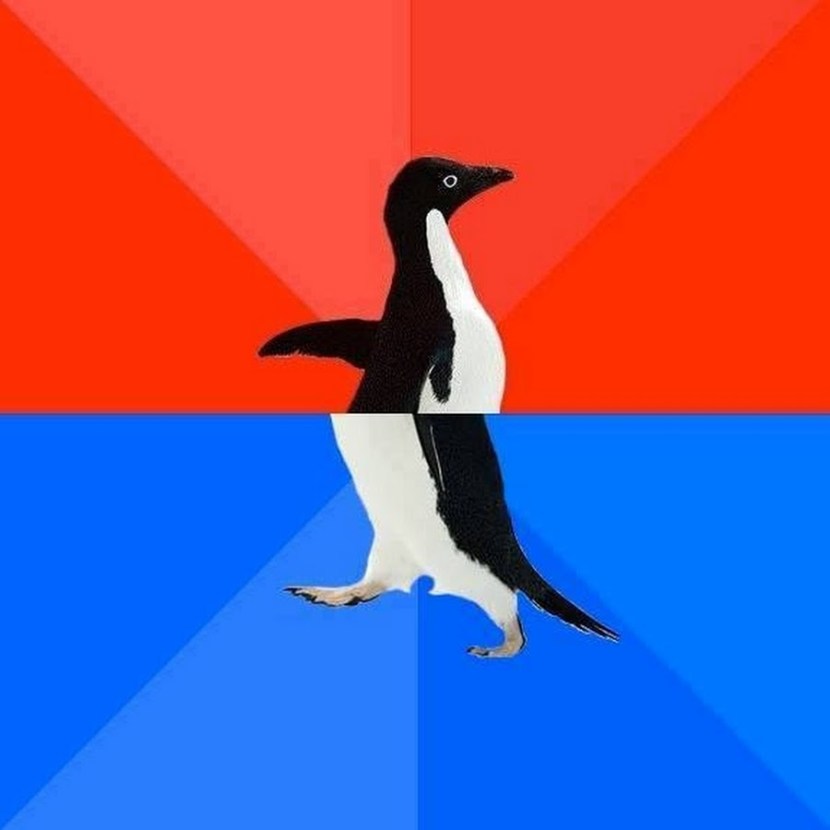 Penguin sociophobe