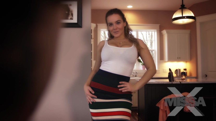 The resume of the developer