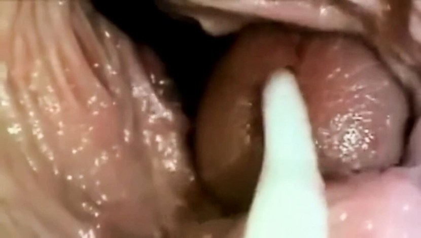 The guy ends the girl in a vagina