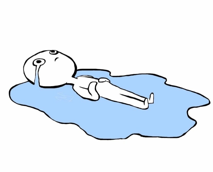 PV charge controller LS1024RP