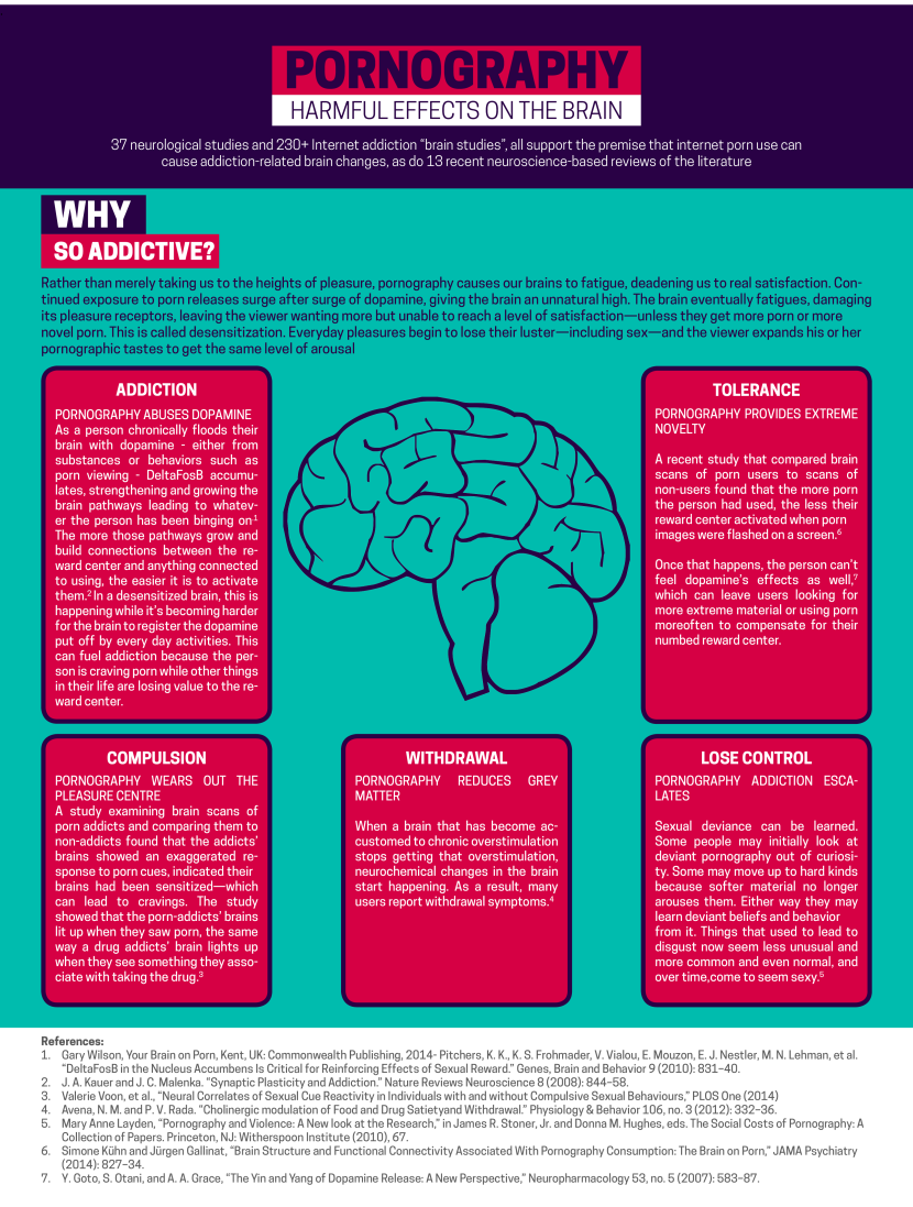 Web architecture diagram