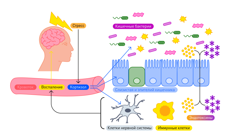 Online Learning Pros and Cons