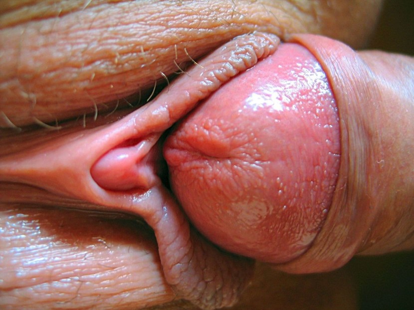 Huge clitoris on a huge cock