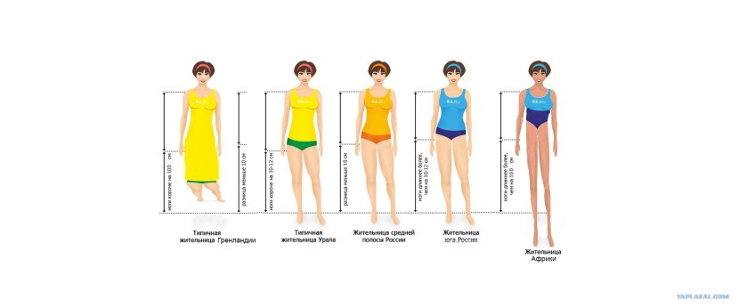 Lara Frost Julia Reutova