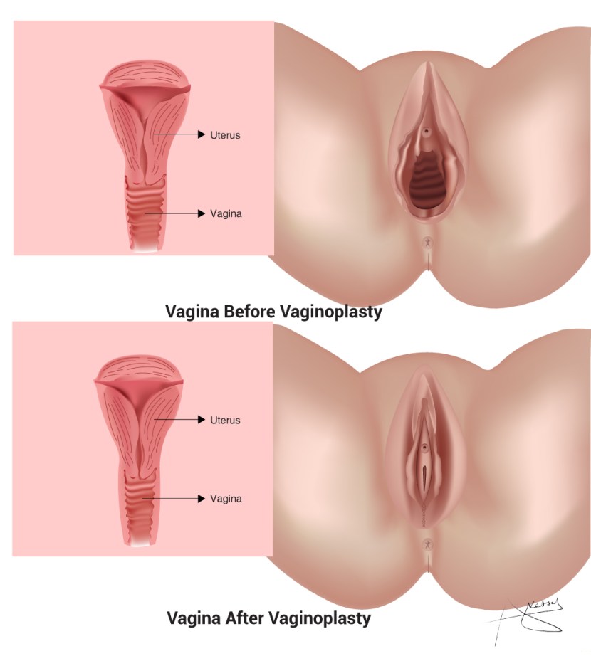 Women's vagina from the inside