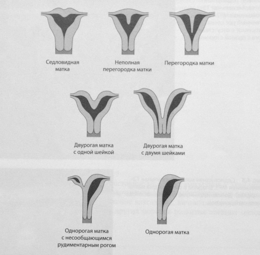 Ida Galich Maxim Fadeev