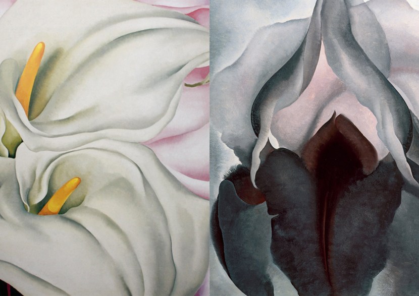 Grapefruit in the context