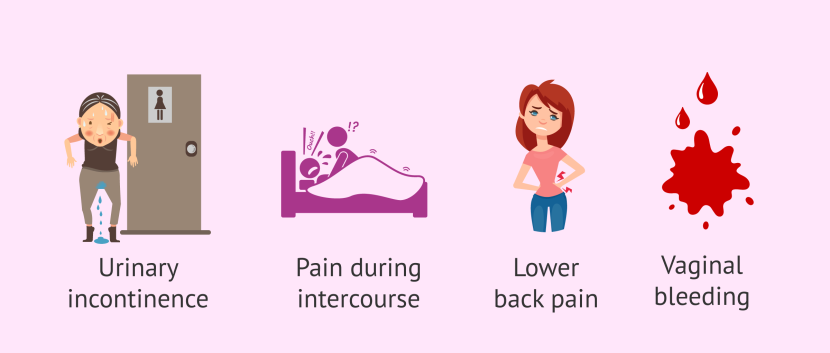 Black Iris Georgia oh kif