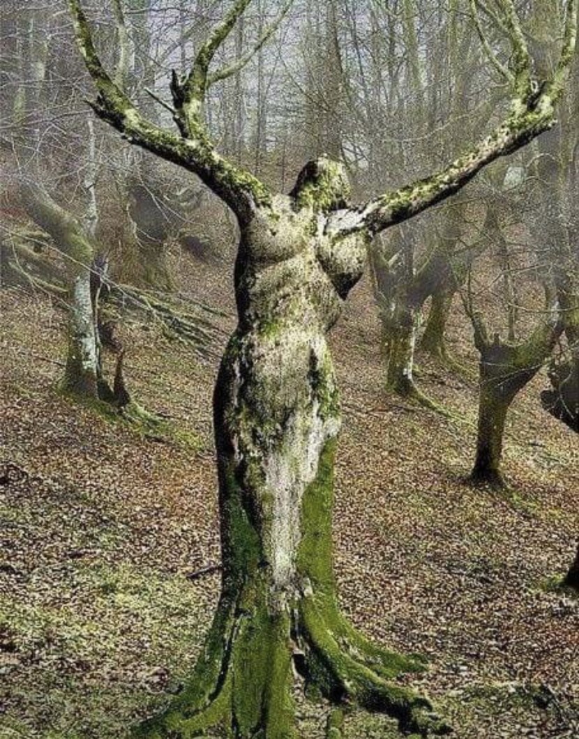 Dryad Statue
