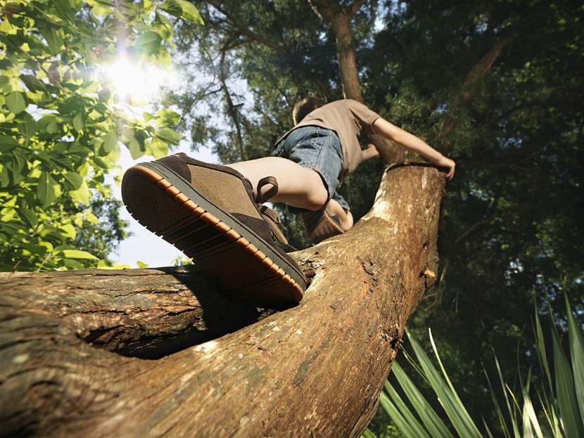 Climb a tree