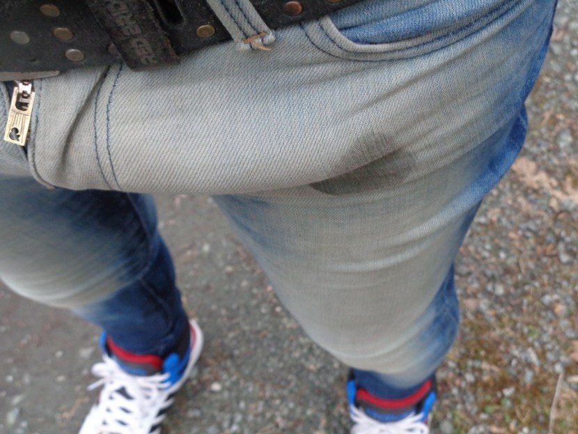 Big dick in a large ass