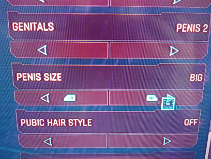 Cyberpank 2077 genitals