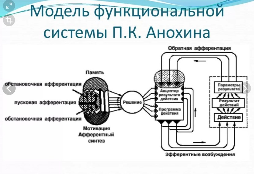 Aiza Dolmatova and Oleg Miami