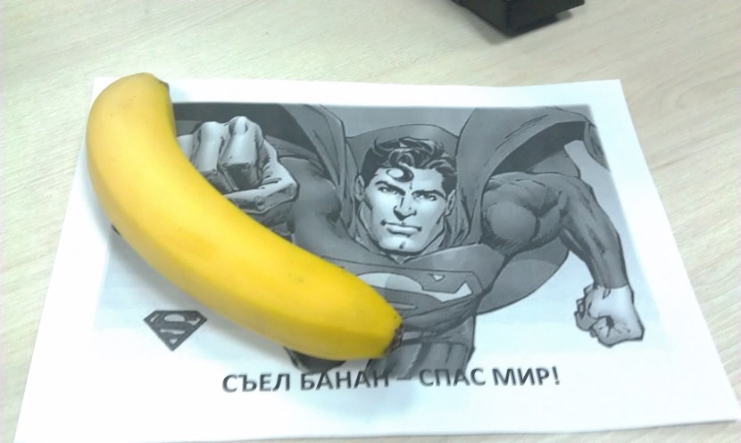 Anokhin scheme of the functional system