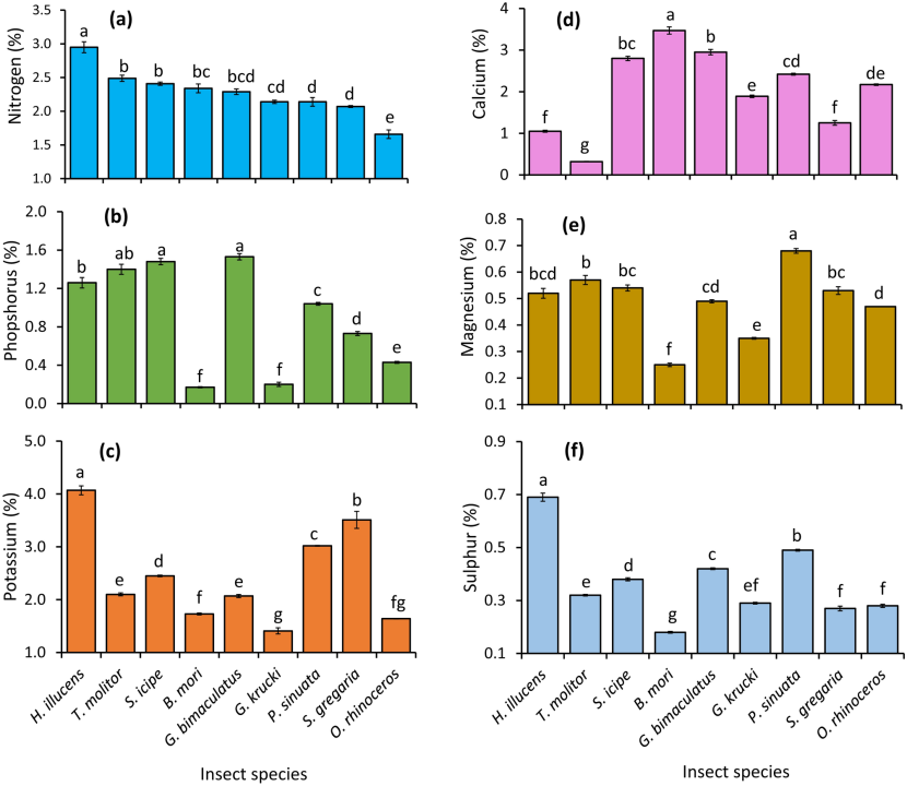 Joyful brother and sister