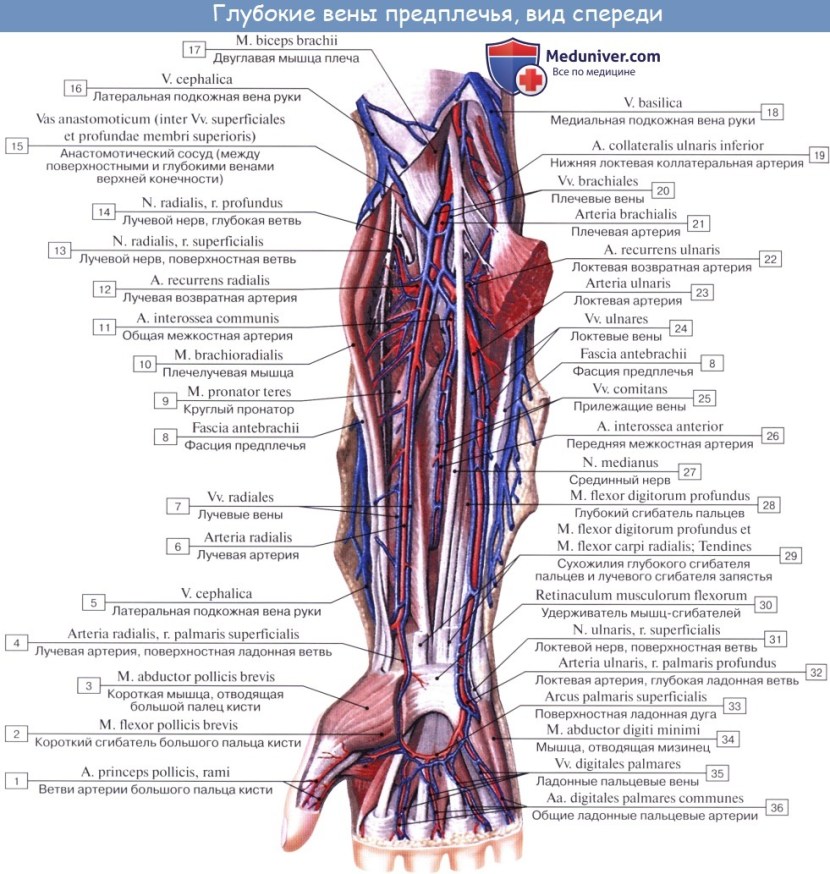 Radiation subcutaneous vein