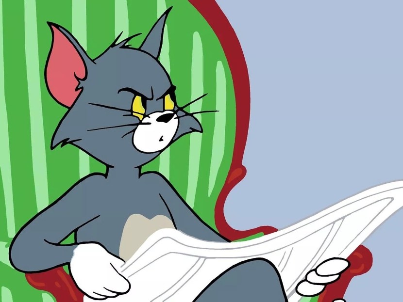 Cat Tom with a newspaper