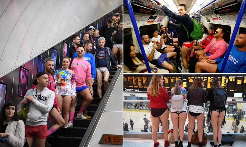 Business plan of gnomes South Park