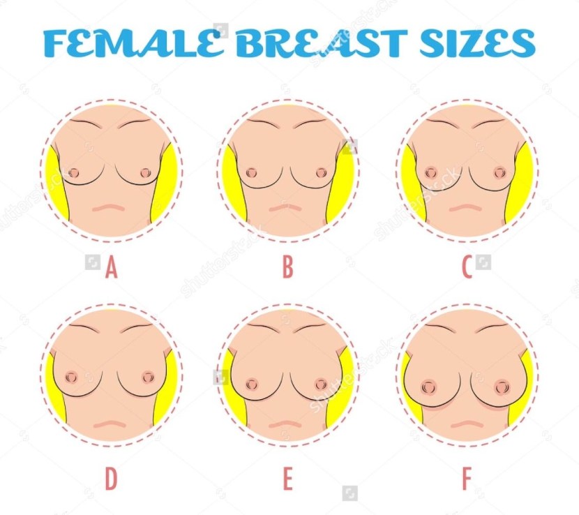 How to understand what breast size1