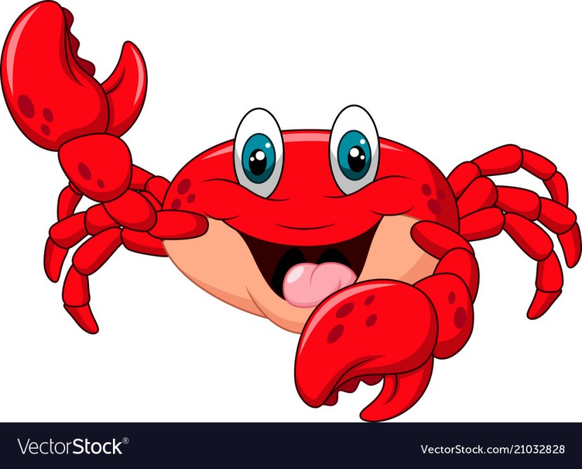 Crab on a white background cartoon