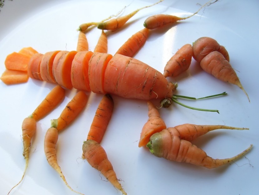 Carrots from carrots