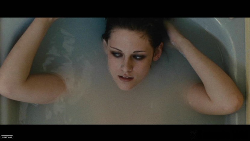 Committee Chairman, Didn't You Just Masturbate