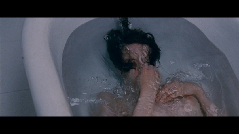 Andrea Raizboro drake naked