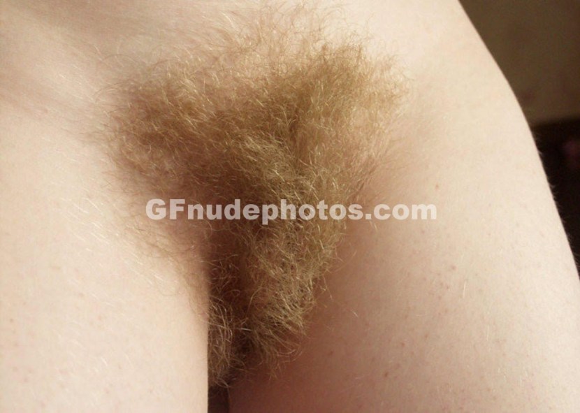 Very hairy female pubis