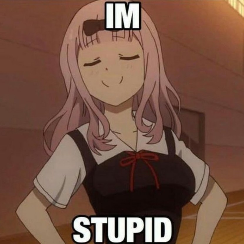 Anime Stupid