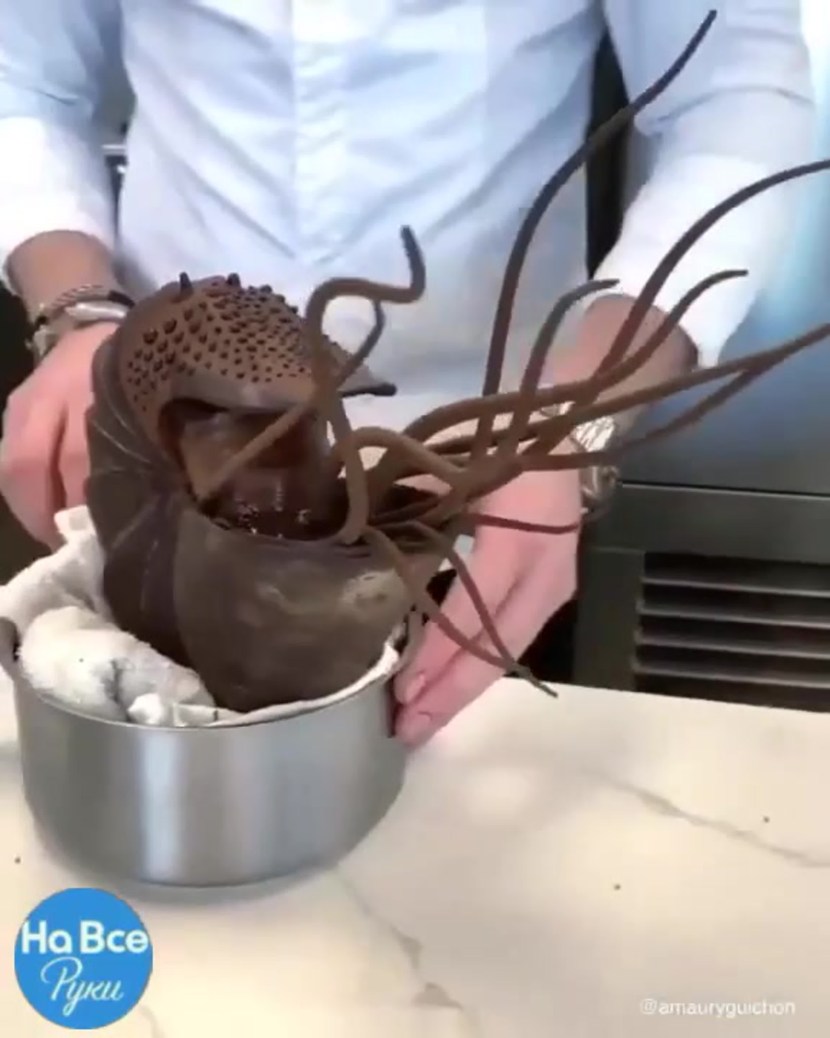 Olga Pautova correspondent