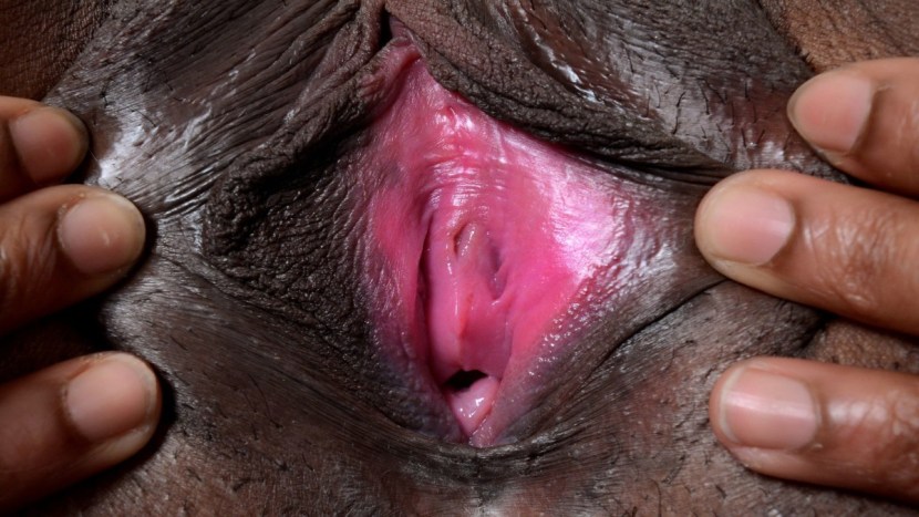 Black Ebony Pussy Pornstarse