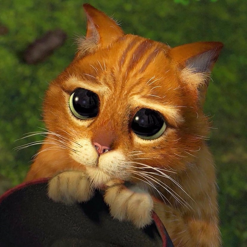 Shrek 2 cat in boots