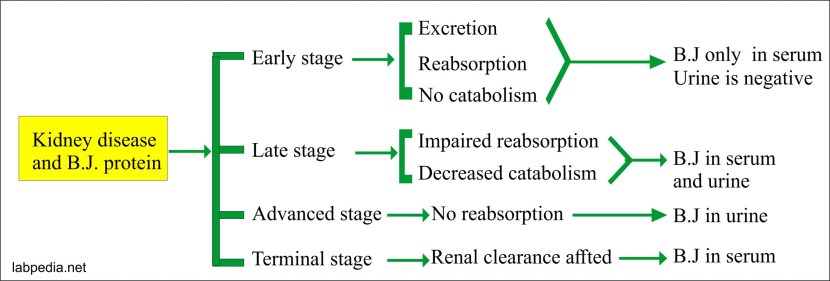 Shopper in English Times in tables