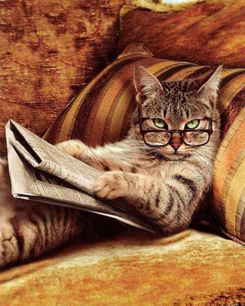 PV charge controller LS1024RP