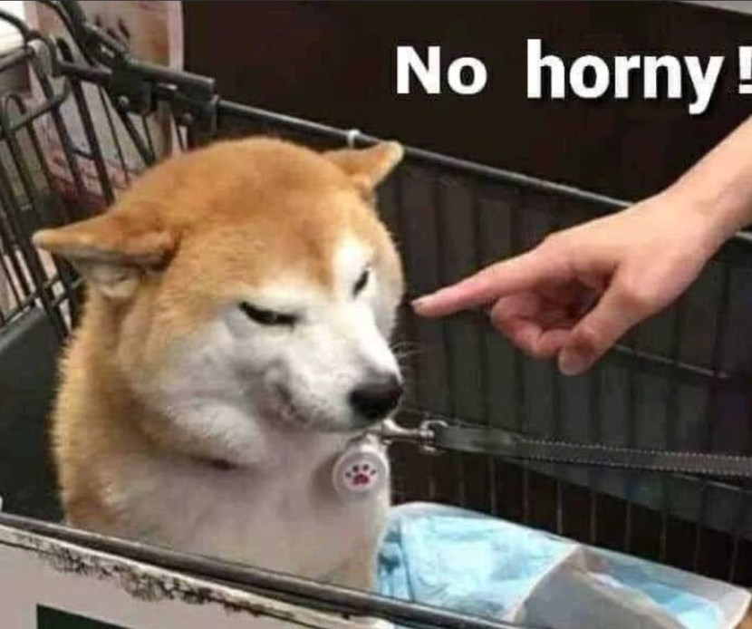 Meeting of men and women