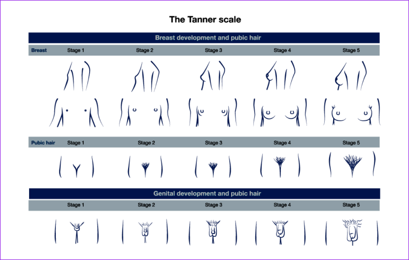 Beautiful porn close -up