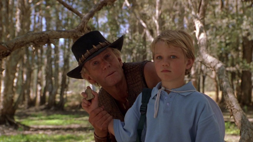 Dandy crocodile on a boat
